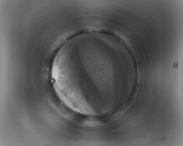 X0000113950451200910232010