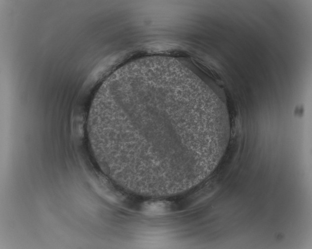 X0000113950452200910232010