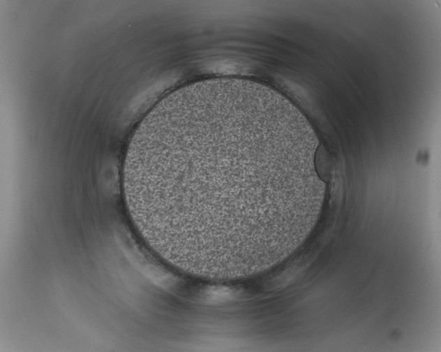 X0000113950453200910232010