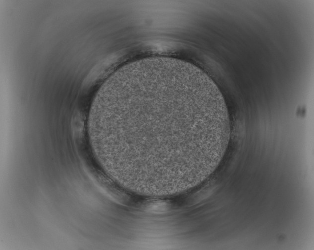 X0000113950456200910232010