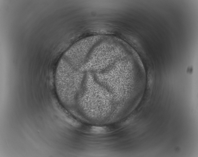 X0000113950457200910232010