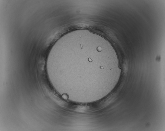 X0000113950458200910232010