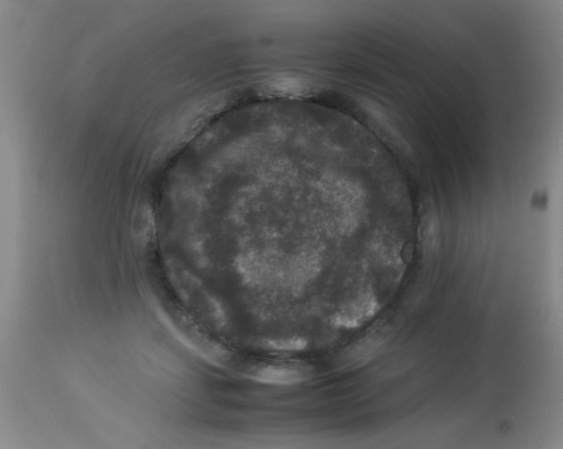 X0000113950459200910232010