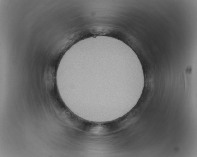 X0000113950460200910232010