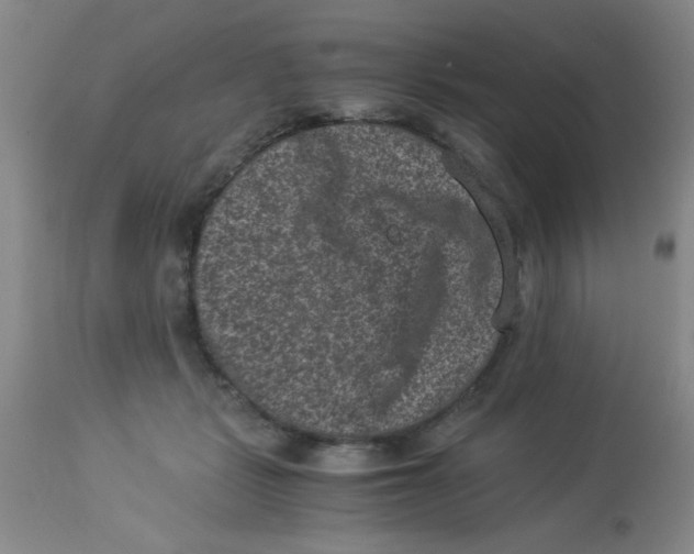 X0000113950461200910232010
