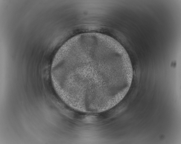 X0000113950462200910232010