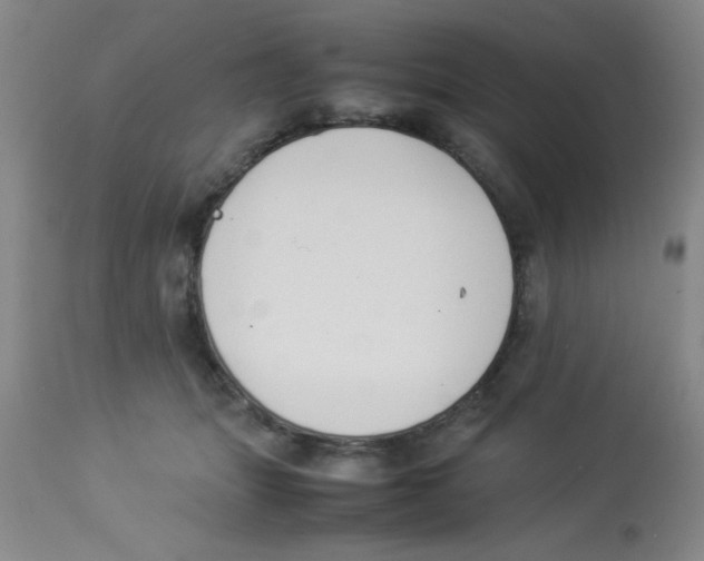 X0000113950463200910232010