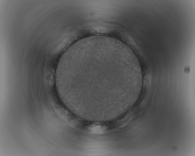 X0000113950464200910232010