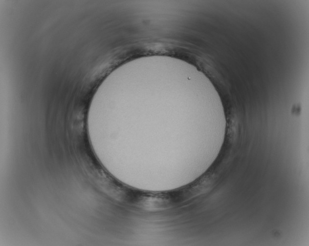 X0000113950466200910232010