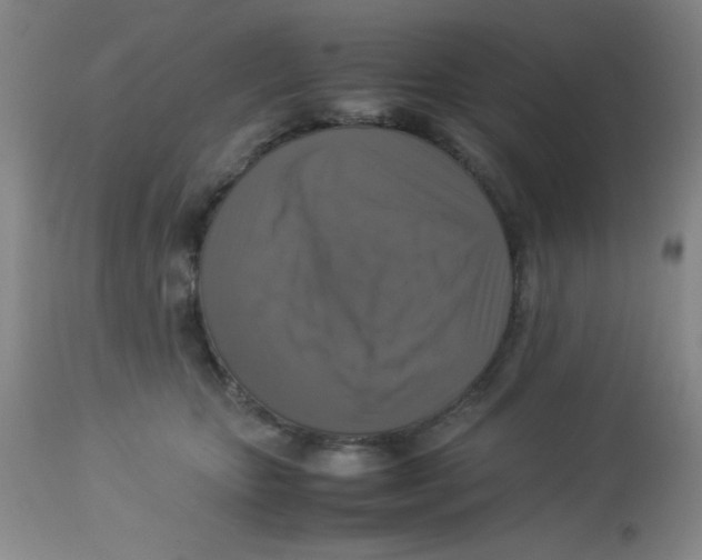 X0000113950467200910232010