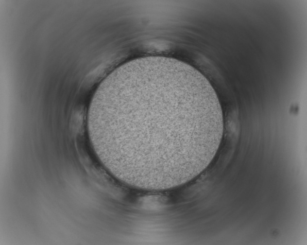 X0000113950468200910232010