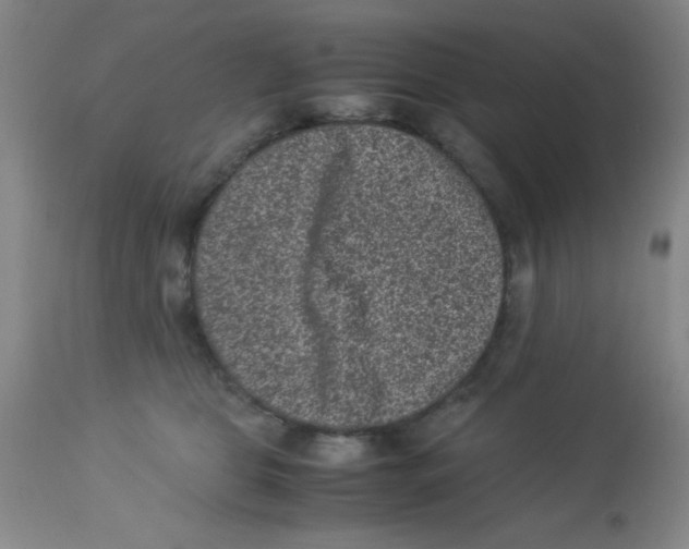 X0000113950469200910232010