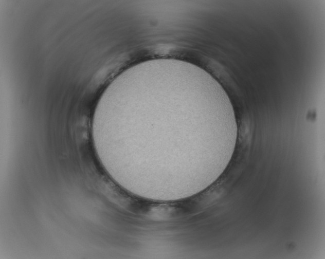X0000113950470200910232010