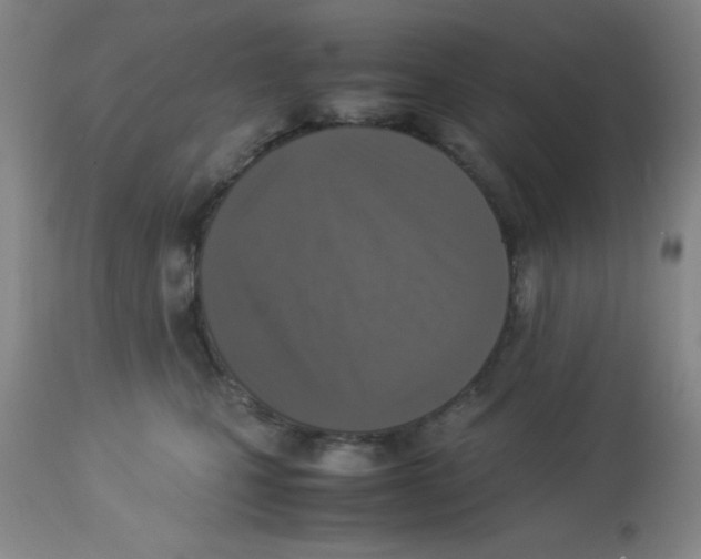 X0000113950471200910232010