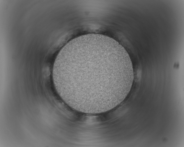 X0000113950472200910232010