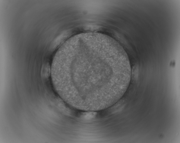 X0000113950474200910232010