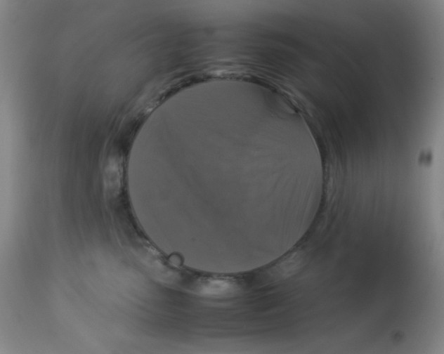 X0000113950475200910232010