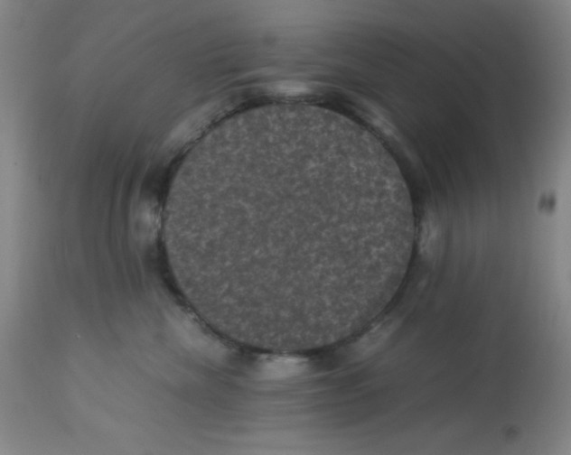 X0000113950476200910232010