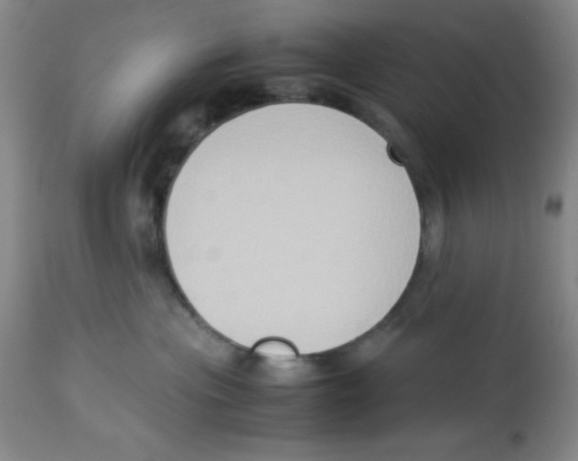 X0000113950477200910232010