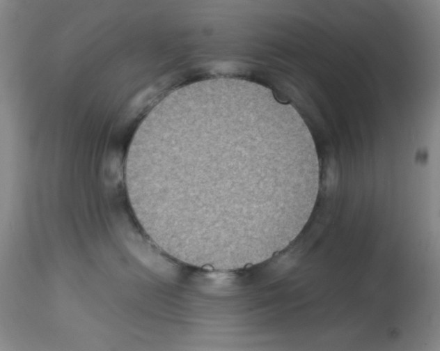 X0000113950478200910232010