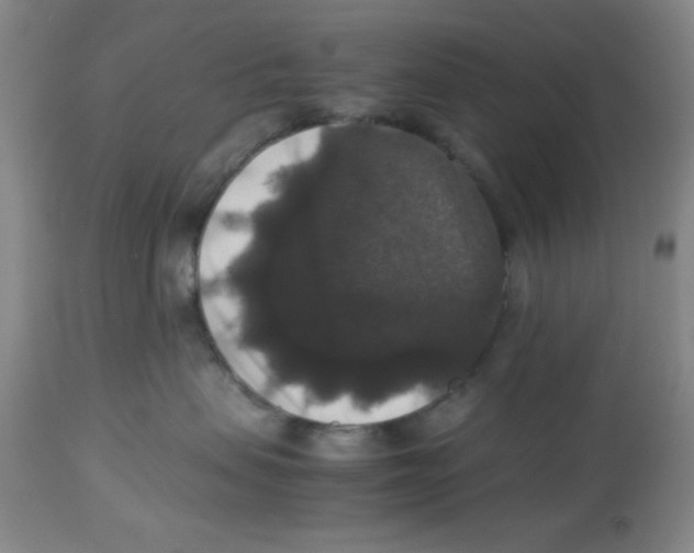 X0000113950479200910232010