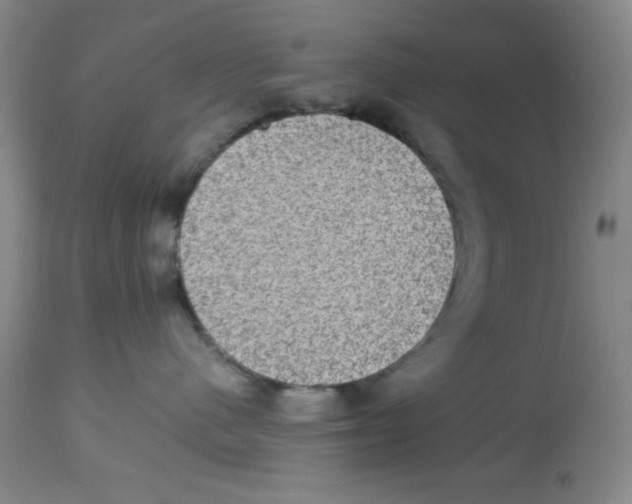 X0000113950480200910232010