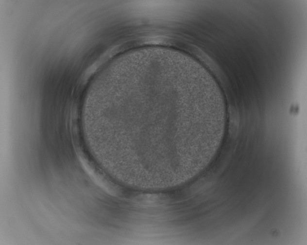 X0000113950482200910232010