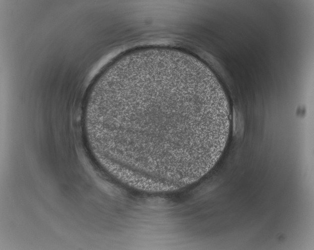 X0000113950483200910232010