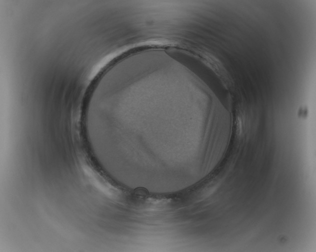X0000113950484200910232010