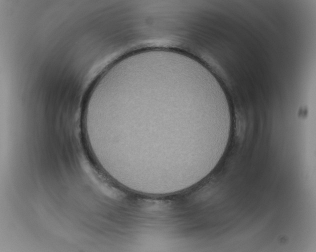 X0000113950486200910232010