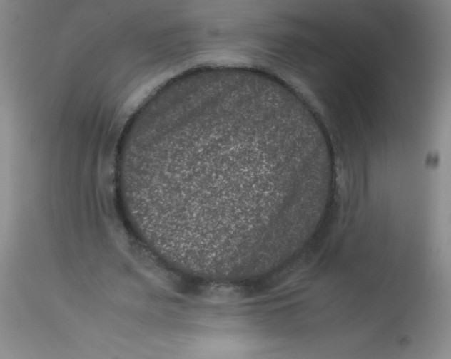 X0000113950487200910232010