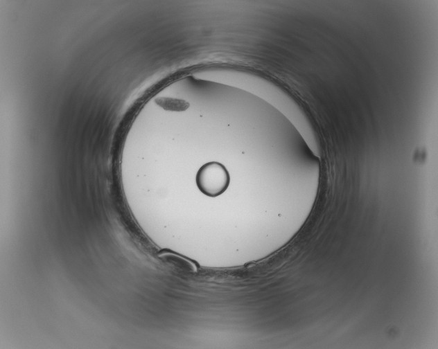 X0000113950488200910232010