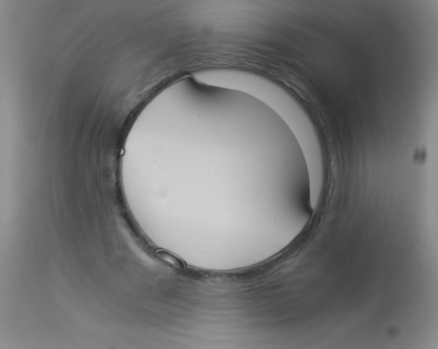 X0000113950489200910232010