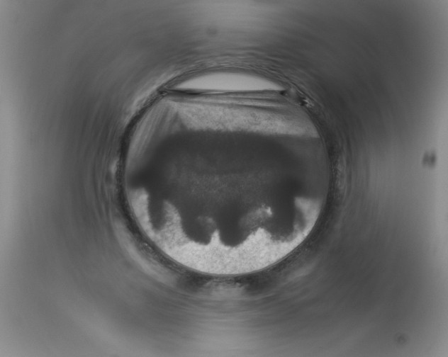 X0000113950491200910232010