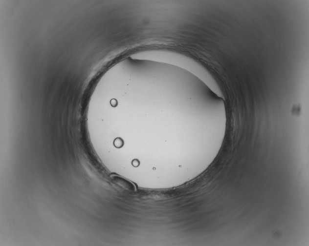 X0000113950492200910232009