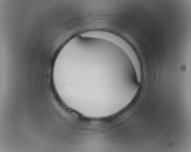 X0000113950493200910232009