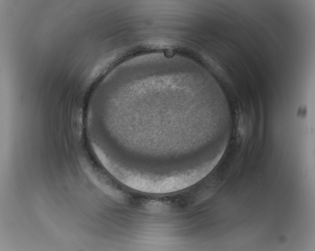 X0000113950494200910232009