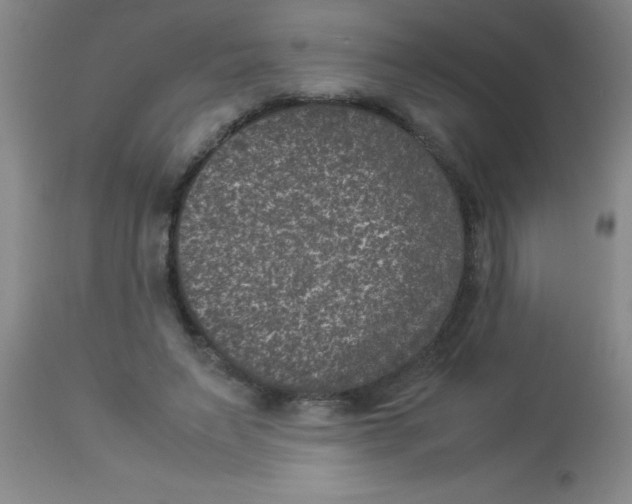 X0000113950495200910232009
