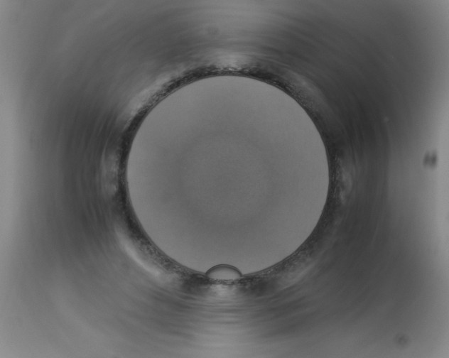 X0000113950496200910232009
