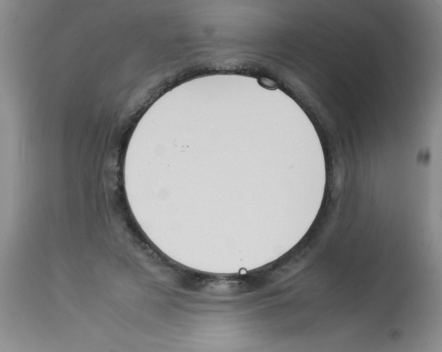 X0000113950497200910232009