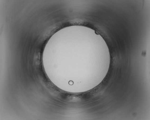 X0000113950498200910232009