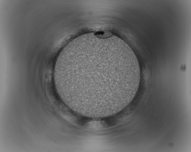 X0000113950499200910232009