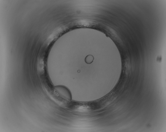 X0000113950500200910232009