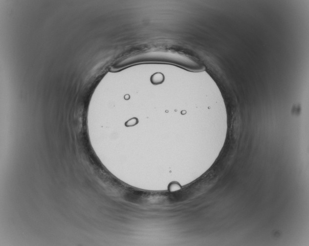 X0000113950501200910232009