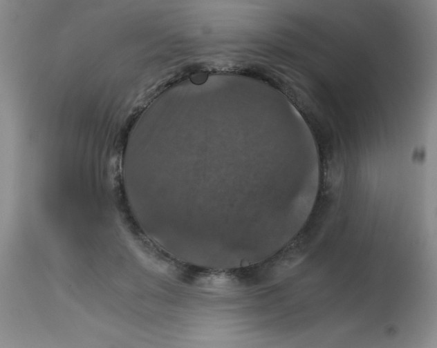X0000113950503200910232009
