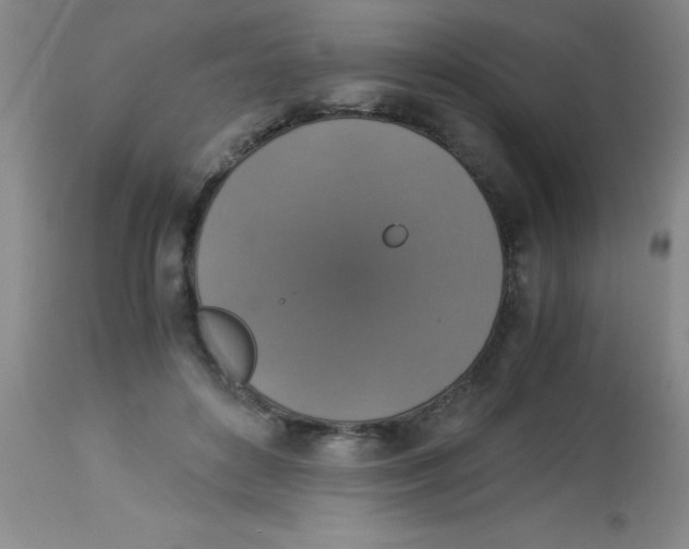 X0000113950504200910232009