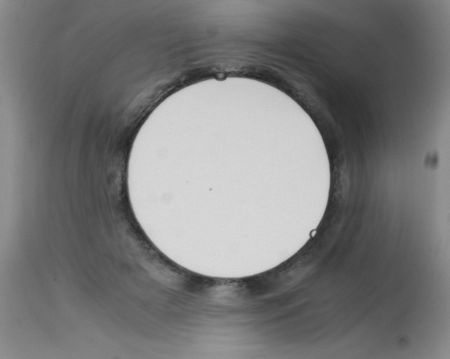 X0000113950505200910232009