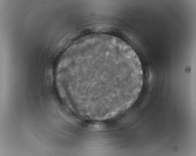 X0000113950506200910232009