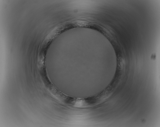 X0000113950507200910232009