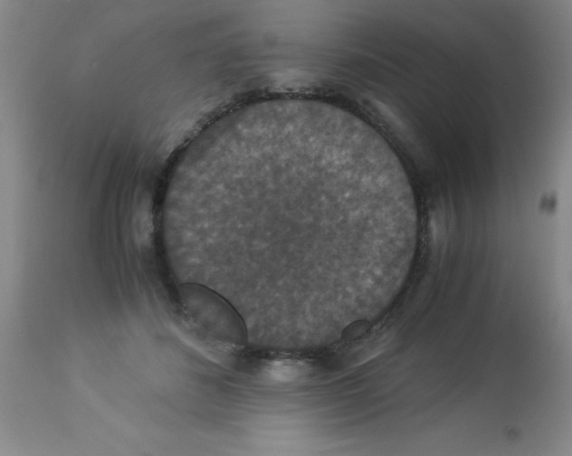 X0000113950508200910232009